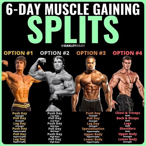 Can you build muscle on 3 day PPL?