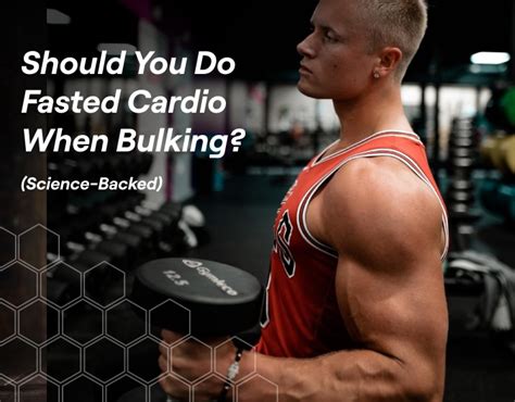 Can you bulk while training fasted?