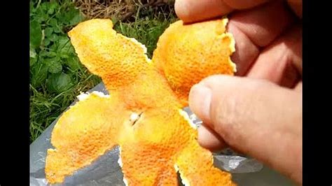 Can you burn orange peels?