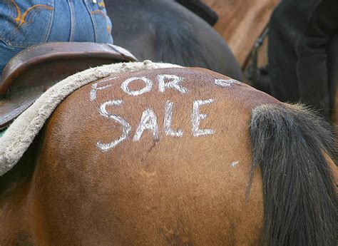 Can you buy and sell horses?