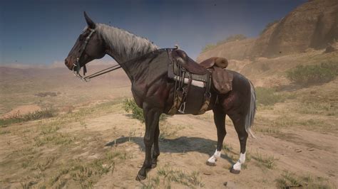 Can you buy horses in rdr1?