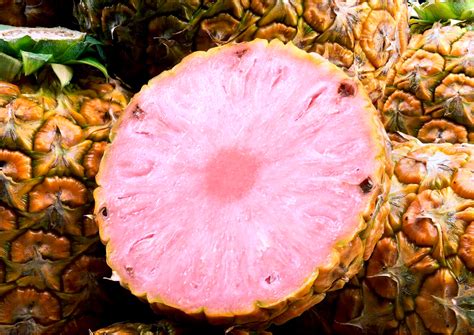 Can you buy pink pineapple in the US?