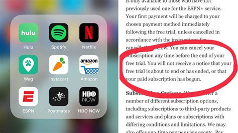 Can you cancel free trial before paying?