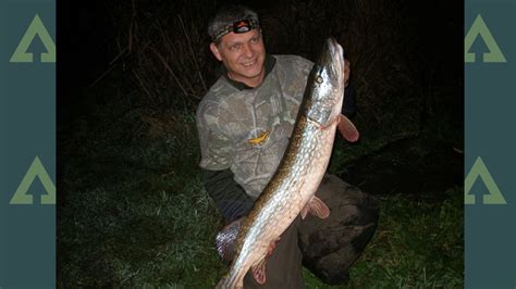 Can you catch pike at night?
