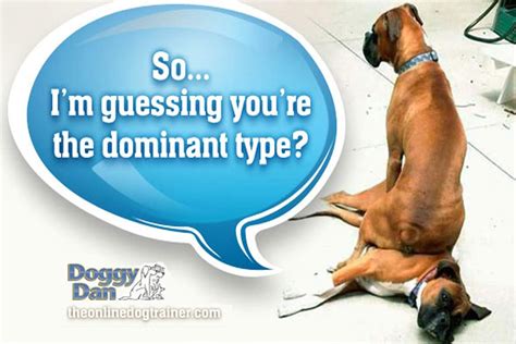 Can you change a dominant dog?