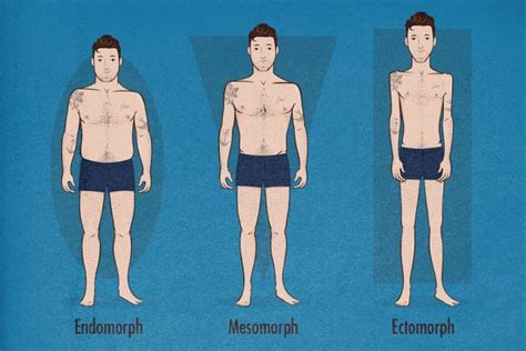 Can you change from endomorph to mesomorph?