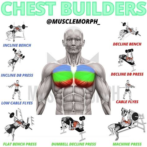 Can you change your chest shape?