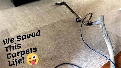 Can you clean 20 year old carpet?