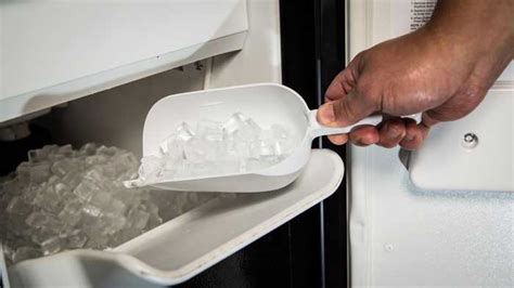 Can you clean an ice maker with bleach or vinegar?