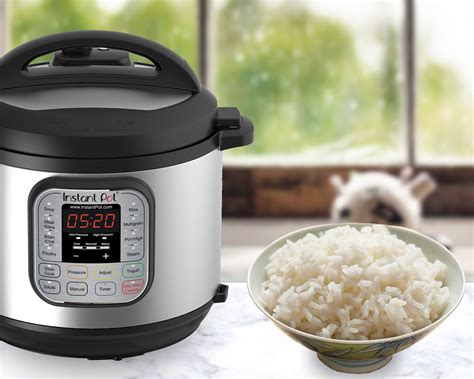 Can you cook everything in a rice cooker?