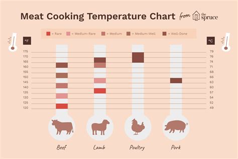 Can you cook meat at 100 degrees Celsius?
