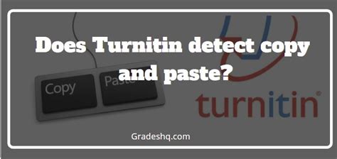 Can you copy and paste from Turnitin?