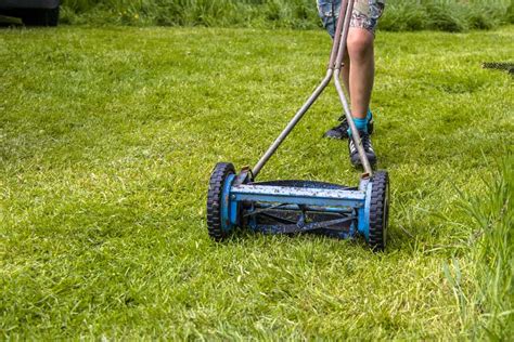 Can you cut long grass with a lawn mower?