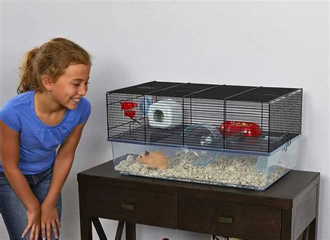 Can you disinfect a hamster cage?