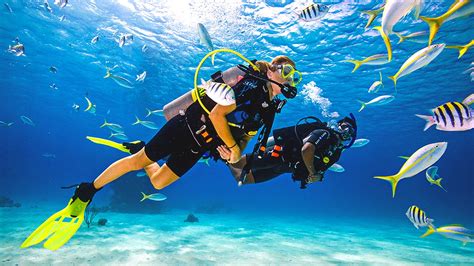 Can you do 4 scuba dives a day?