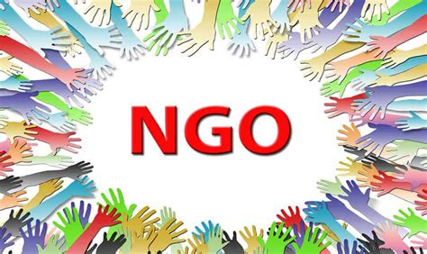 Can you do marketing for NGOs?