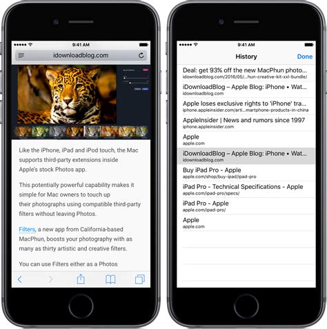 Can you download Safari history on iPhone?
