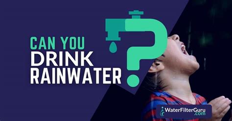 Can you drink rain water?