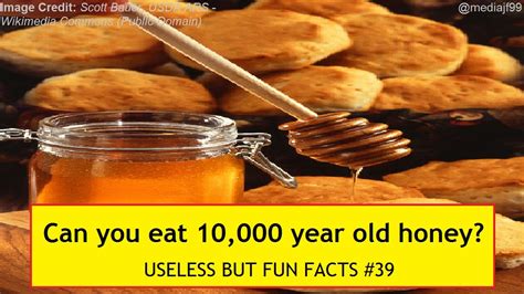 Can you eat 10,000 year old honey?
