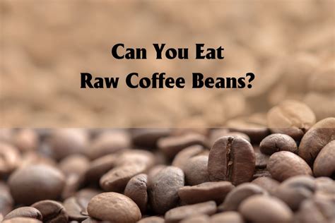 Can you eat a raw coffee bean?