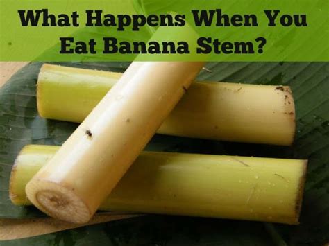Can you eat banana stem?