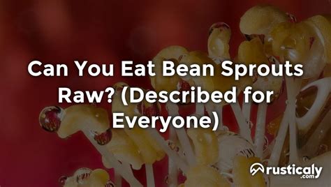 Can you eat beansprouts raw?