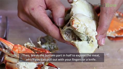 Can you eat everything inside a crab?