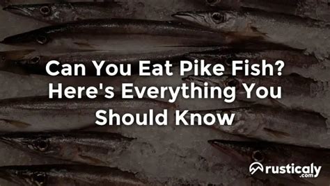 Can you eat pike cheeks?