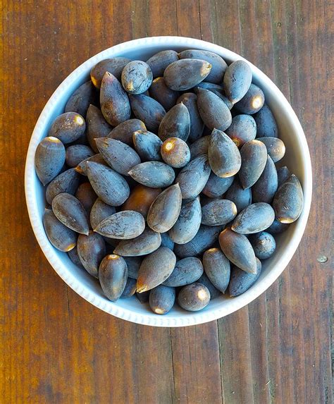 Can you eat raw acorns?