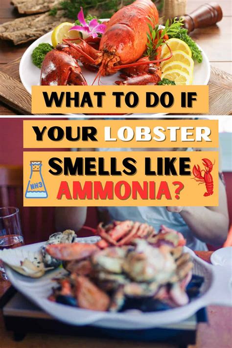 Can you eat seafood that smells like ammonia?