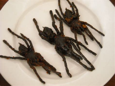 Can you eat spiders cooked?