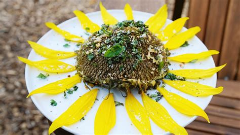Can you eat sunflower heads?
