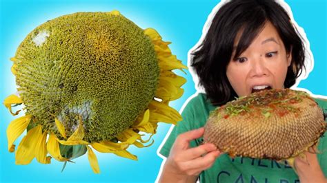 Can you eat sunflowers?