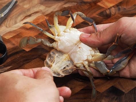 Can you eat the shell of a crab?