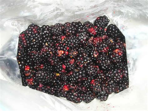 Can you eat unwashed blackberries?