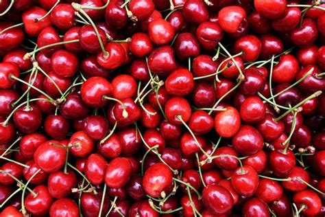 Can you eat wild cherry?