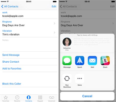 Can you export all iPhone Contacts?