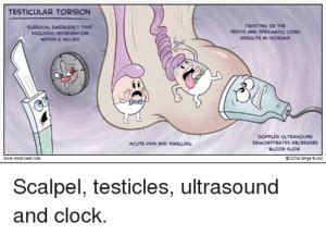 Can you feel a twisted testicle?