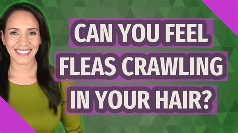 Can you feel fleas crawling?