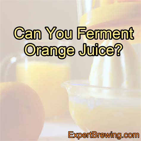 Can you ferment an orange?