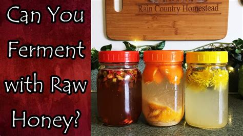 Can you ferment with honey instead of sugar?