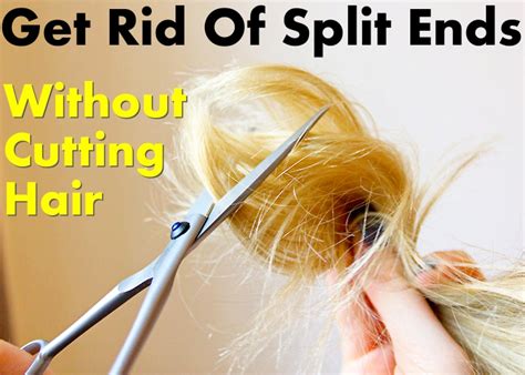 Can you fix split ends?