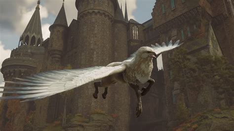 Can you fly a Griffin in Hogwarts?