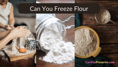 Can you freeze dry flour?