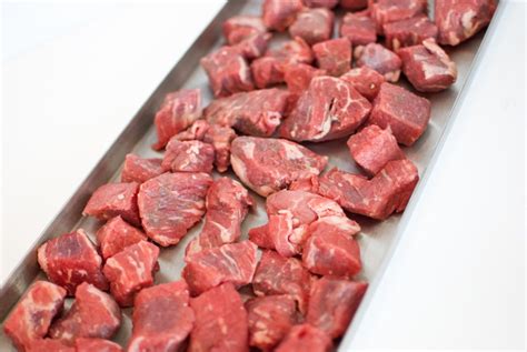 Can you freeze dry raw meat?