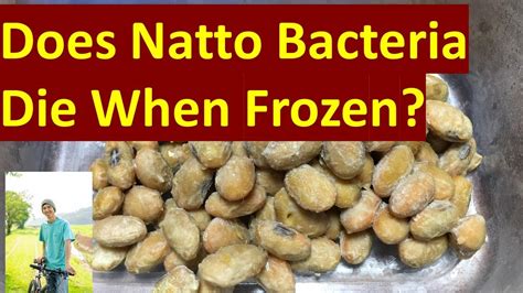 Can you freeze natto?