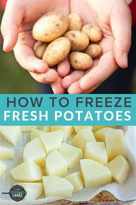 Can you freeze raw potatoes without blanching?