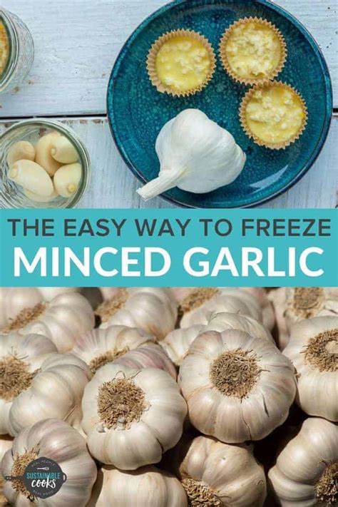 Can you freeze sprouted garlic?