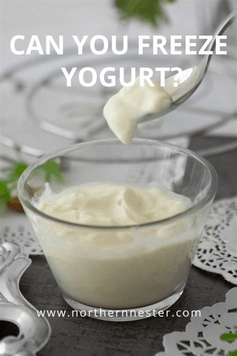 Can you freeze yogourt?