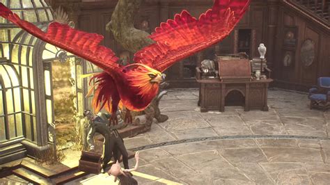 Can you get 2 Phoenix in Hogwarts Legacy?